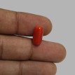 Italian Red Coral 5.80ct.@700 per. ct.(Premium) Italian Red Coral 5.80ct.@700 per. ct.(Premium)