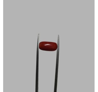 Italian Red Coral 5.80ct.