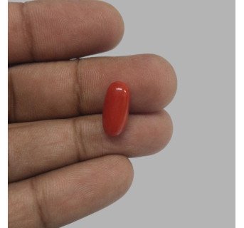 Italian Red Coral 4.92ct.
