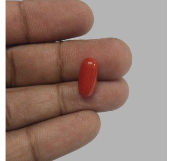 Italian Red Coral 5.30ct.