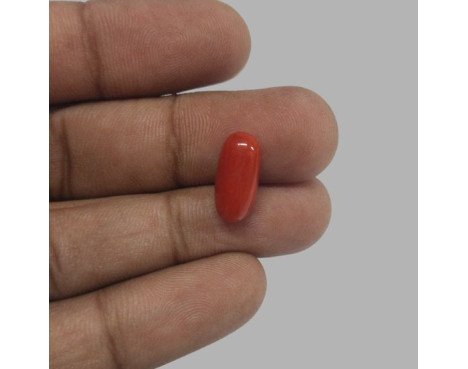 Italian Red Coral 5.16ct.@700 per. ct.(Premium)