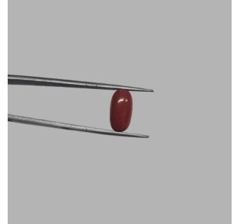 Italian Red Coral 5.16ct.