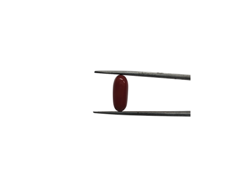 Italian Red Coral 5.39 ct.@700 per. ct.(Premium)