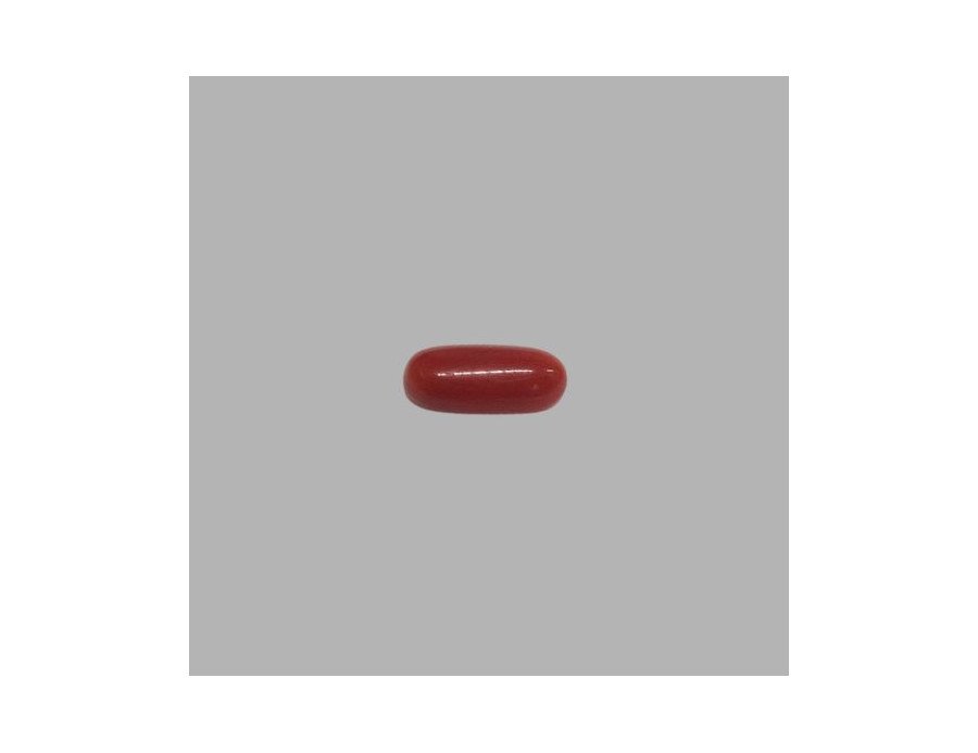 Italian Red Coral 5.17 ct.@700 per. ct.(Premium) Italian Red Coral 5.17 ct.@700 per. ct.(Premium)
