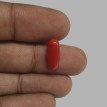 Italian Red Coral 5.17 ct.@700 per. ct.(Premium) Italian Red Coral 5.17 ct.@700 per. ct.(Premium)
