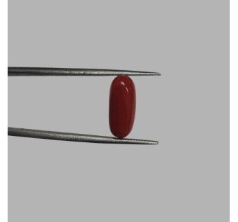 Italian Red Coral 5.17 ct.