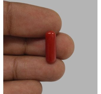 Italian Red Coral 5.01ct.@400 per. ct.(Economy)