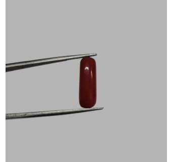 Italian Red Coral 5.01ct.