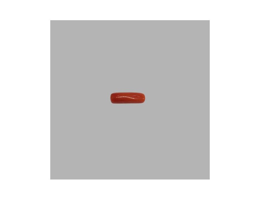 Italian Red Coral 4.90 ct.@400 per. ct.(Economy) Italian Red Coral 4.90 ct.@400 per. ct.(Economy)
