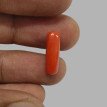 Italian Red Coral 4.90 ct.@400 per. ct.(Economy) Italian Red Coral 4.90 ct.@400 per. ct.(Economy)
