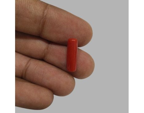 Italian Red Coral 4.84ct.@400 per. ct.(Economy)