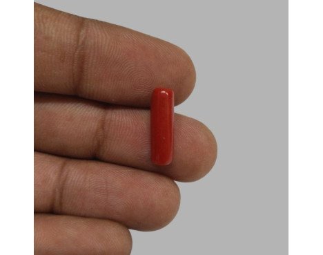 Italian Red Coral 4.57ct.@400 per. ct.(Economy)