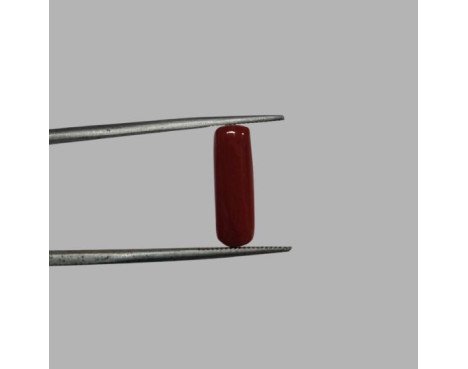 Italian Red Coral 4.84ct.@400 per. ct.(Economy)