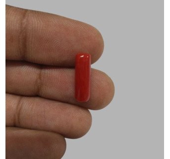 Italian Red Coral 4.84ct.