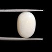 Opal 5.70 ct.@2000 per. ct.(Luxury)