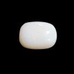 Opal 11.64 ct.@2000 per. ct.(Luxury)