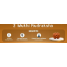 2 Mukhi Rudraksha