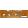 3 Mukhi Rudraksha