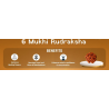 6 Mukhi Rudraksha