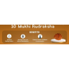 10 Mukhi Rudraksha
