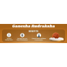 Ganesha Rudraksha