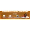 Rudraksha Mala and Beads