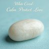 White Coral